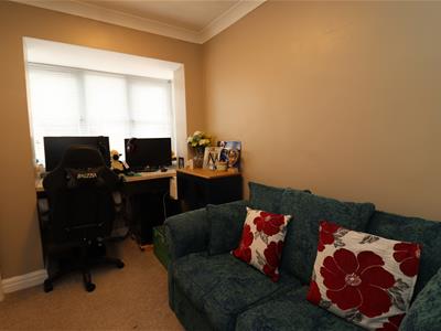 Picture 12
